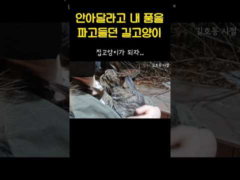 이러는데 어떻게 안넘어가냐구요