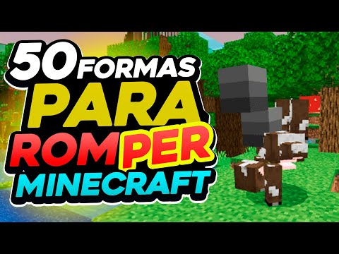 50 Formas para ROM/PER Minecraft