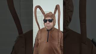 #humor #parati #comedia #memes #viralvideo #shortvideos