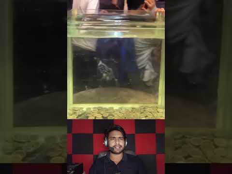 पैसे कमाने के लिए इस बंदे ने क्या गेम बनाया है #game #gamers #shortsviral #shorts