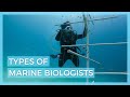 Exploring Careers in Marine Biology