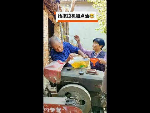 New Funny and Fail Videos 😂 😺😍  Part 351 #funny #funnyshorts