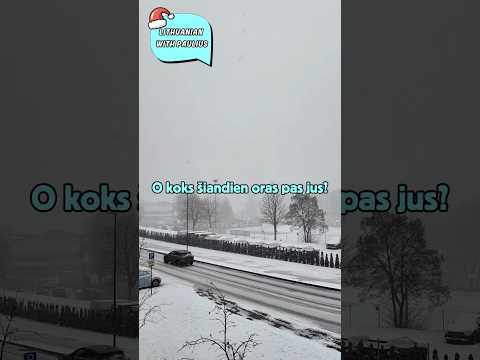 Snow is back in Lithuania! New Year is coming… 🇱🇹❄️