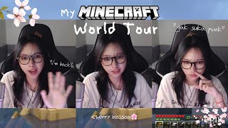 Tour Pink World Minecraft Aku Selama Setahun Ini..