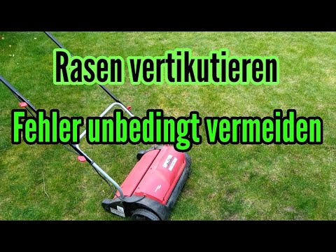 RASEN vertikutieren die häufigsten FEHLER unbedingt vermeiden Rasenpflege