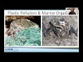 Microplastics and Marine Ecosystems