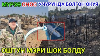 СНОС БОЛГОН МҮРЗӨ ОШ/МЕЙИТ ЧИРИГЕН ЭМЕС