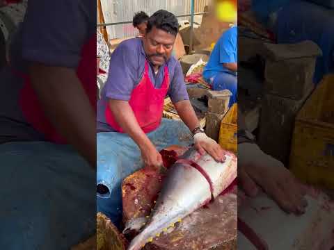 How will this fish make you a Crorepati? #shorts
