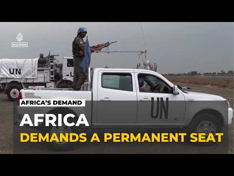 African nations at the security council: Calls for representation at United Nations body