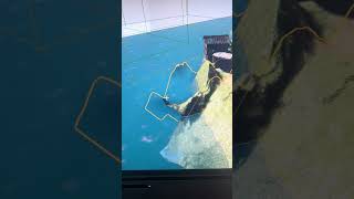 Proceso del videojuego