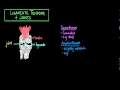 Joint Types and Functions