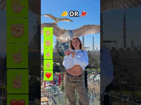 WAIT IT😵‍💫🤷🏼‍♀️ What did it STEAL?🫢🥶