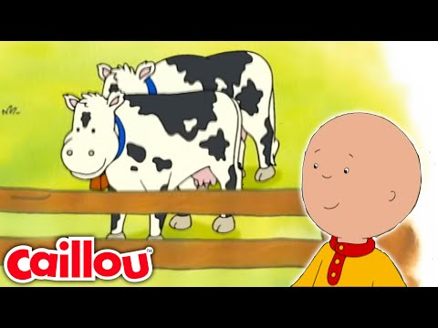 Who's Mooing? | Caillou's New Adventures - WildBrain | Learning for Children