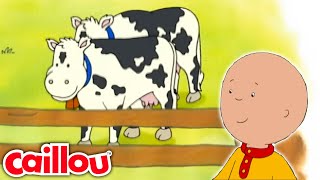 Who's Mooing? | Caillou's New Adventures - WildBrain | Learning for Children