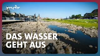 Der große Durst - Streit ums Wasser | Fakt ist! | MDR