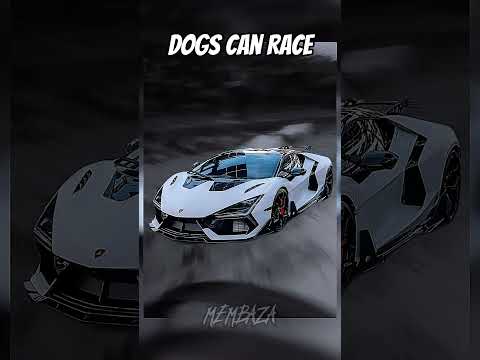 Racing dogs part 2 #edit #dog #racing #