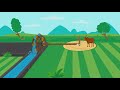 Understanding Traditional Irrigation Systems
