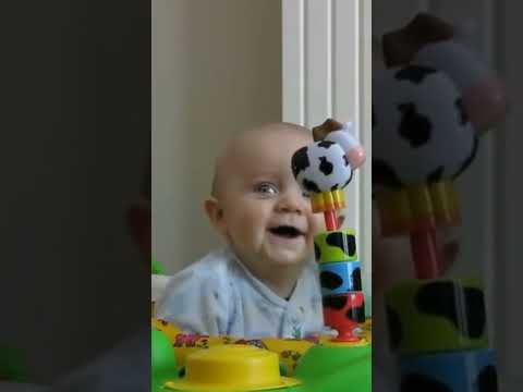 Funny Baby Reactions
