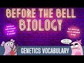 Understanding the Video Tutorial