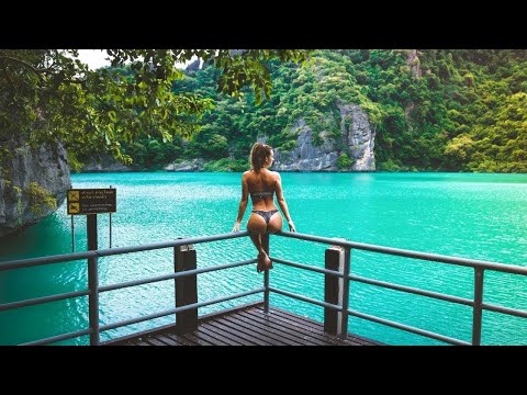 Alan Walker, Dua Lipa, Coldplay, Martin Garrix & Kygo, The Chainsmokers Style - Summer Vibes 2025