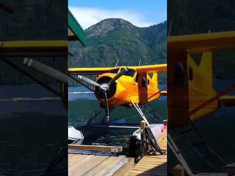 #Travel by DeHavilland BEAVER Seaplane #airplane #aviation #shortsvideo #flying #shorts #pilot #new