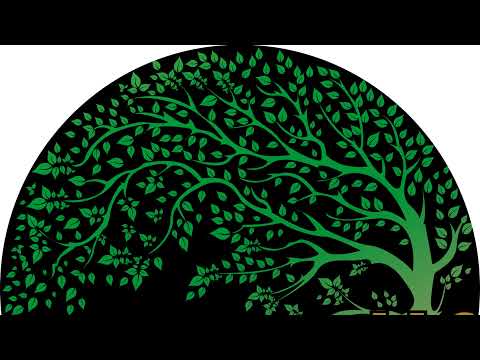 Naturalif Live Stream