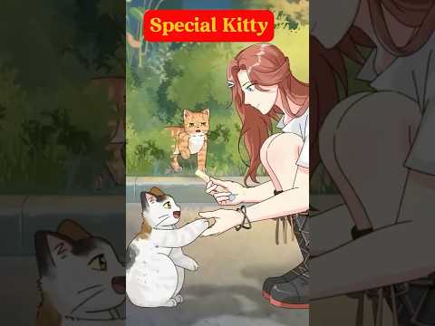 Certified Special Cat. #cat #animals #animation