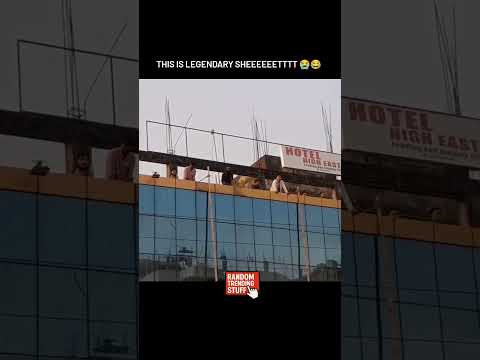 legendary Speech 🤣 #randomtrendingstuff #nepal #nepalgenzprotest #nepalprotest #exploreshorts #viral