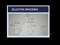 Selective Breeding and Natural Selection