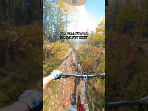 That Last Ride Before Winter Comes Hits Different 😮‍💨🙌