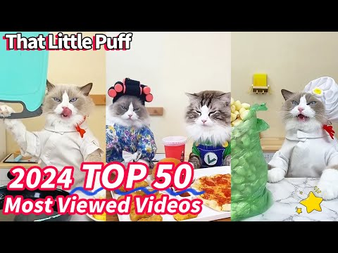 Top 50 Most Viewed Videos 2024? | That Little Puff