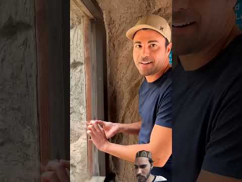 #monkey #animals #gorilla #facts