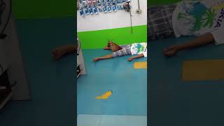 ถังทองนอนเฝ้าป๊าบาส ถังเงินชวนเล่น