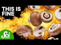 Understanding Mushrooms and Cooking