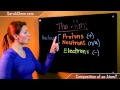 Subatomic Particles and Their Roles