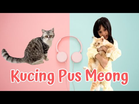 KUCING PUS MEONG - Lagu Anak Terbaik