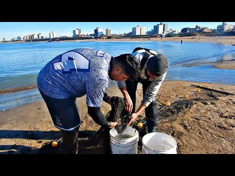 PESCADORES LLENARON SUS BALDES CON EXQUISITOS PESCADOS DE INVIERNO