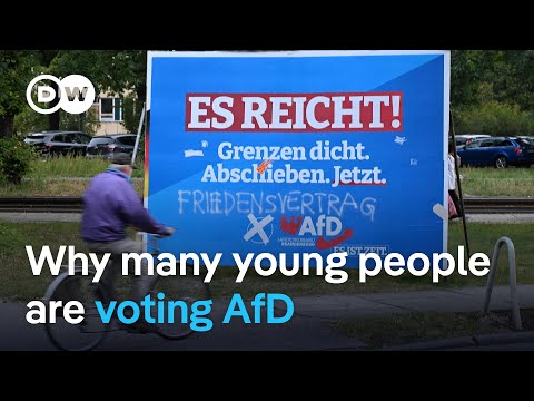 AfD party set to perform strongly in Brandenburg state election | DW News