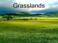 Understanding Different Types of Environments