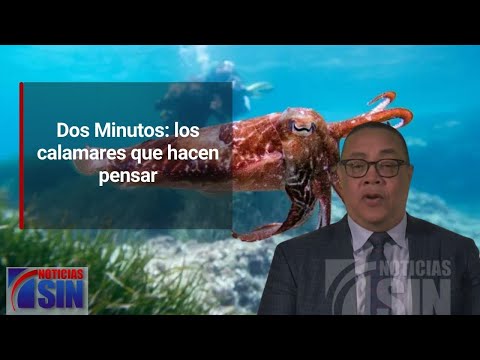 Dos Minutos: los calamares que hacen pensar