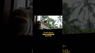 കാത്തിരിപ്പ് 🥰💯