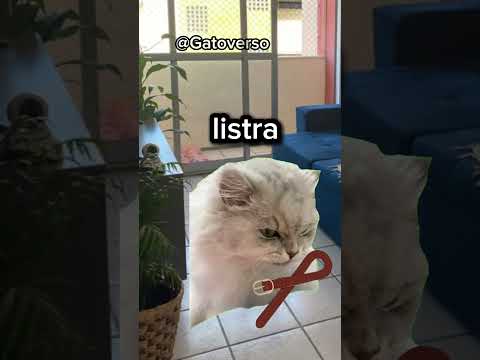 QUANDO MEU PAI ME DAVA DINHEIRO PRA CORTAR O CABELO
