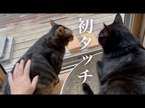 この2日、いろんなことがありました。