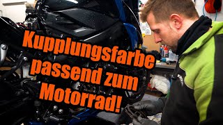 Und die Moral von der Geschicht... | Suzuki GSX-S OHNE VORTRIEB | Kupplung ABGERAUCHT