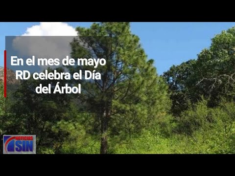 En el mes de mayo RD celebra el Día del Árbol