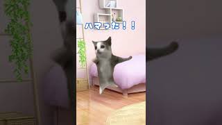 【猫ミーム】VTuberと出会ったバーチャル蠱毒の話 #shorts #Vtuber #猫ミーム日常 #チピチピチャパチャパ
