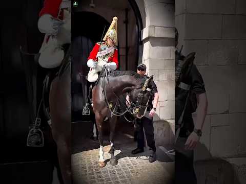 Why the King's Guard Is So Dangerous! ๐จ #shorts