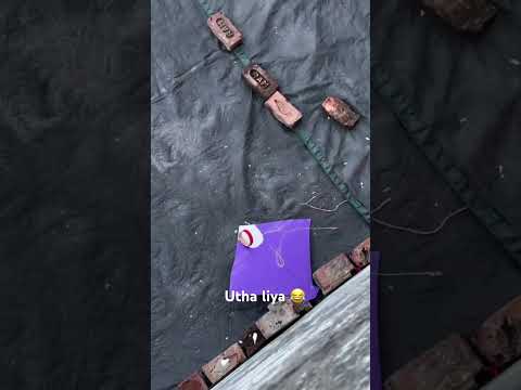 Utha liya😂#viralvideo #dillikiteclub #kiteflying #subscribe #kiteground #kitemaker #kites