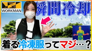 【売切れ必須？】ワークマン2025年最新ペルチェベスト！熱中症対策はこれがベスト？【話題の着る冷凍服！】
