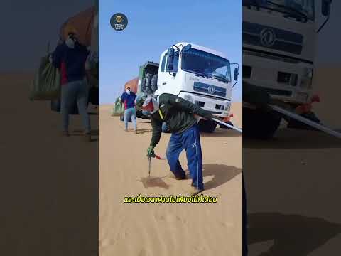 จีนปูตาข่ายทั่วทะเลทราย ทำไมถึงเปลี่ยนเป็นป่าได้? | How China Turns Deserts Into Forests